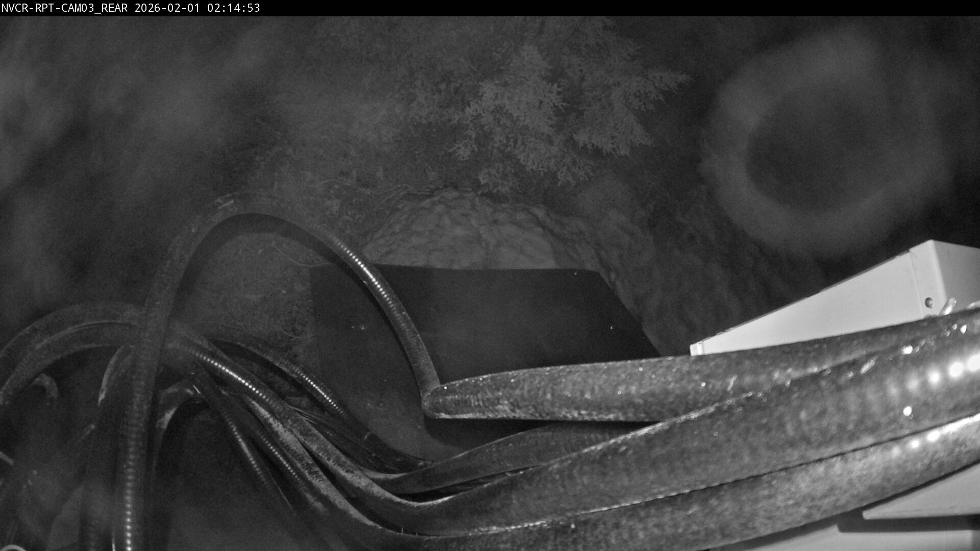 Web Cam History Image - 580