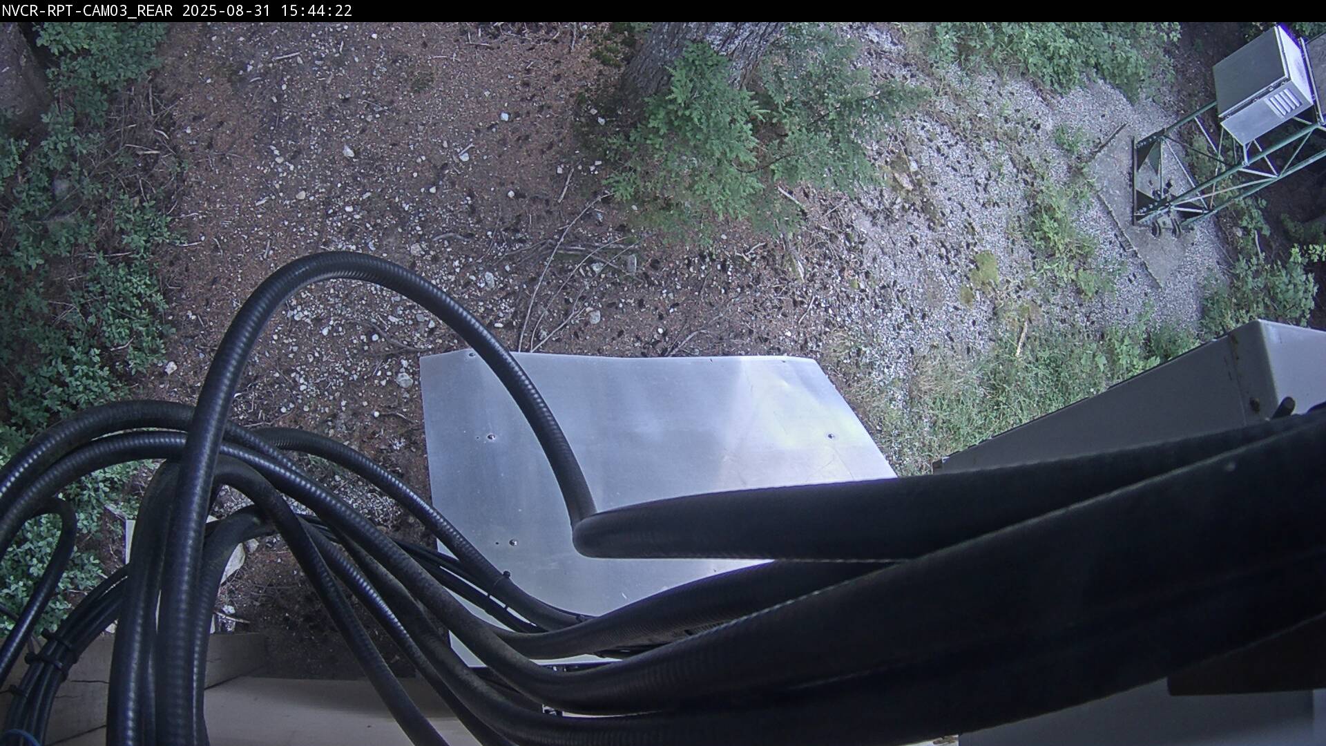 Web Cam History Image - 59