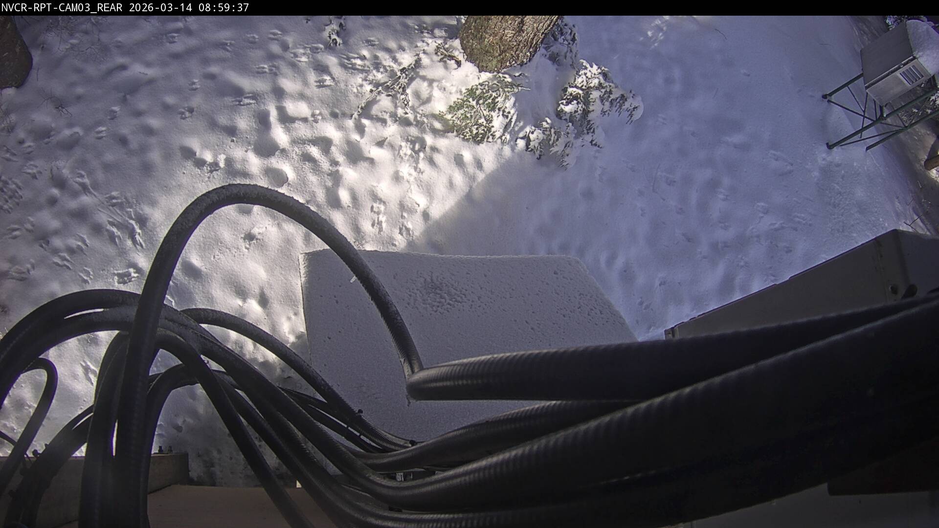 Web Cam History Image - 59