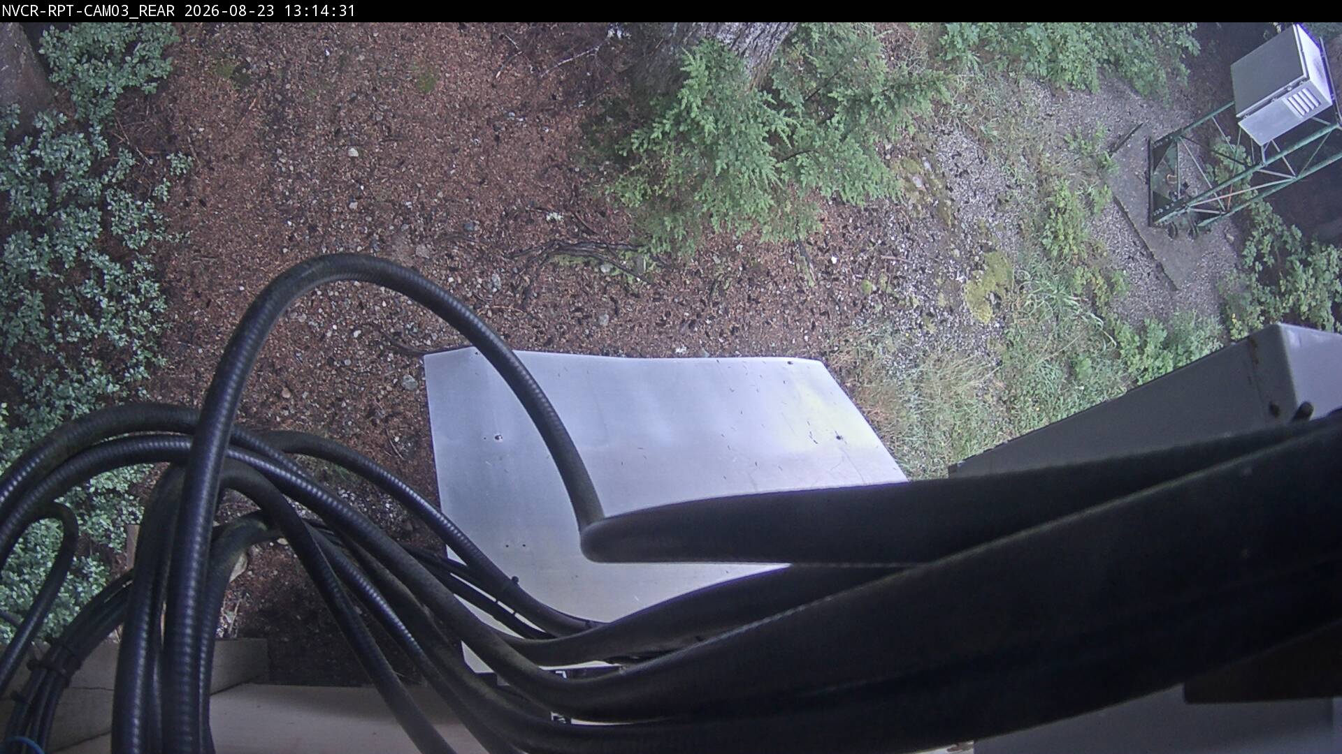 Web Cam History Image - 581