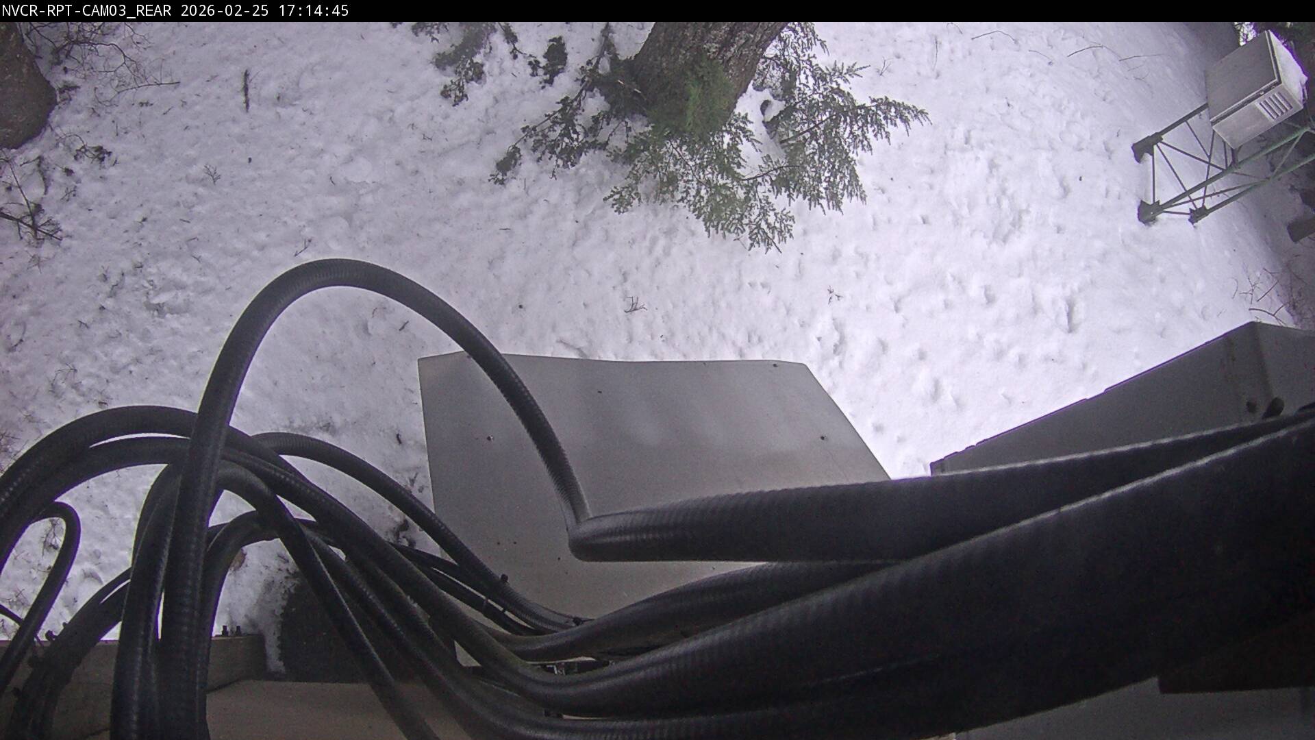 Web Cam History Image - 583