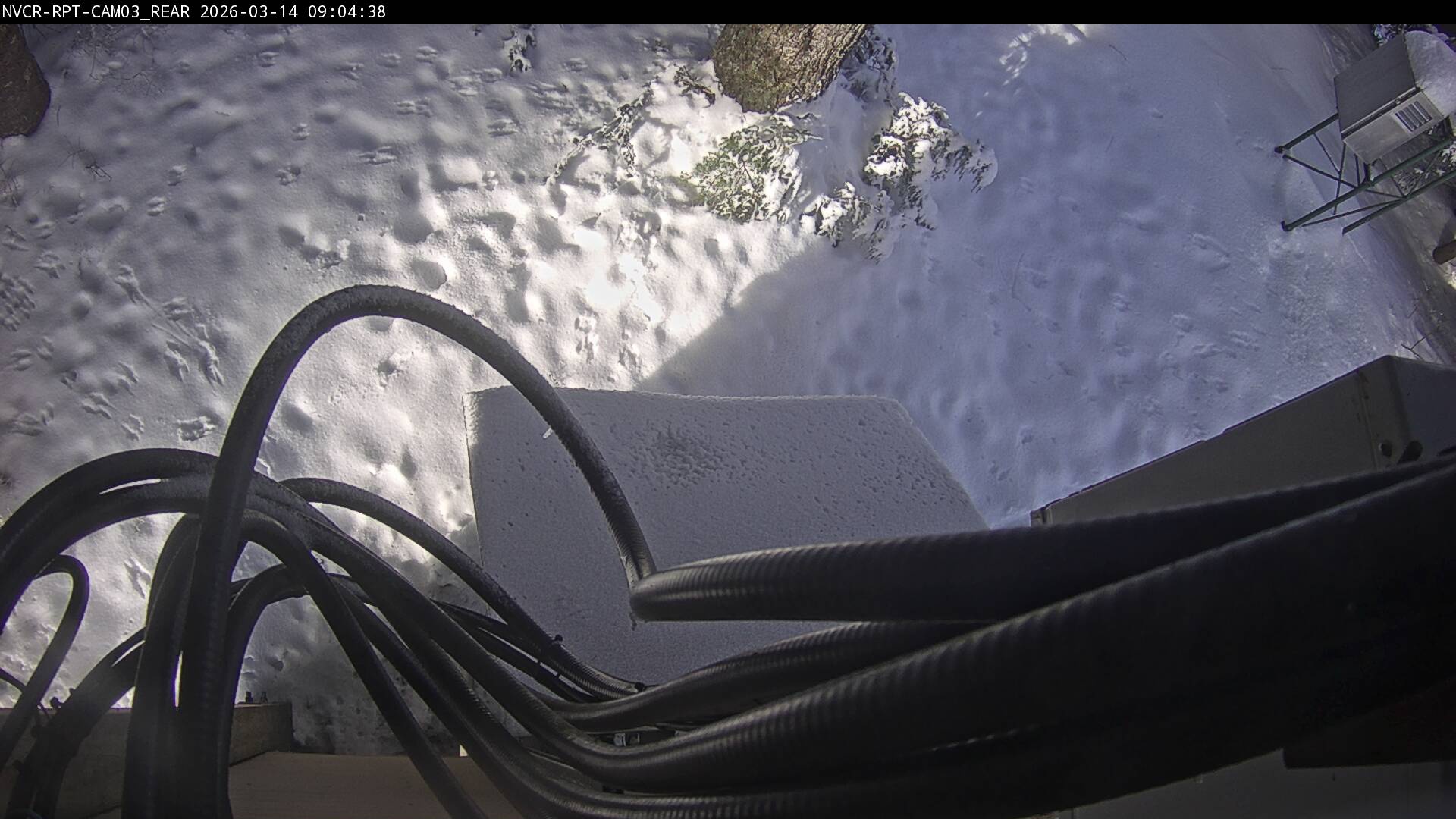 Web Cam History Image - 583