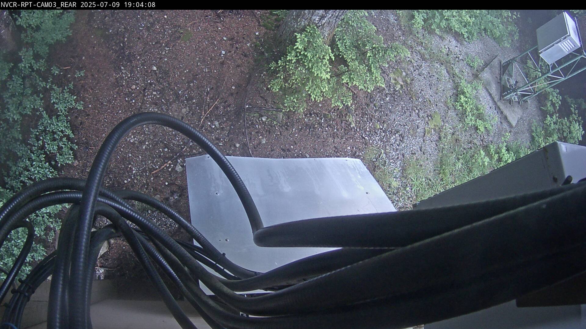 Web Cam History Image - 584