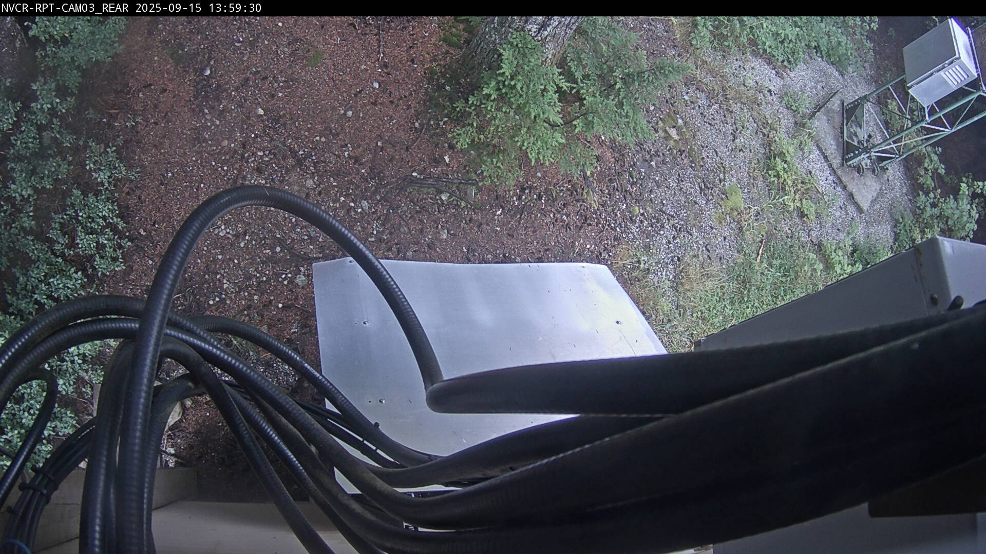 Web Cam History Image - 584