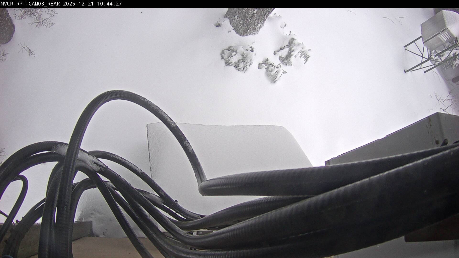 Web Cam History Image - 584