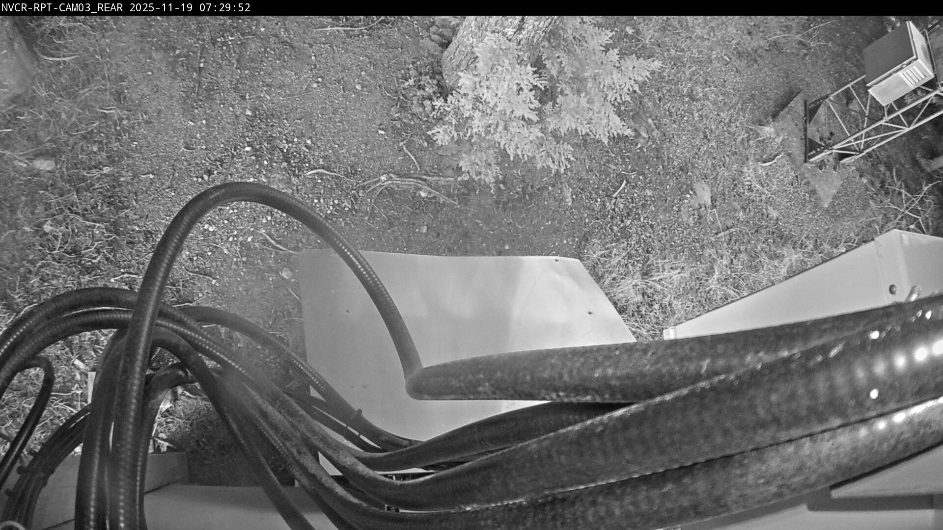 Web Cam History Image - 585