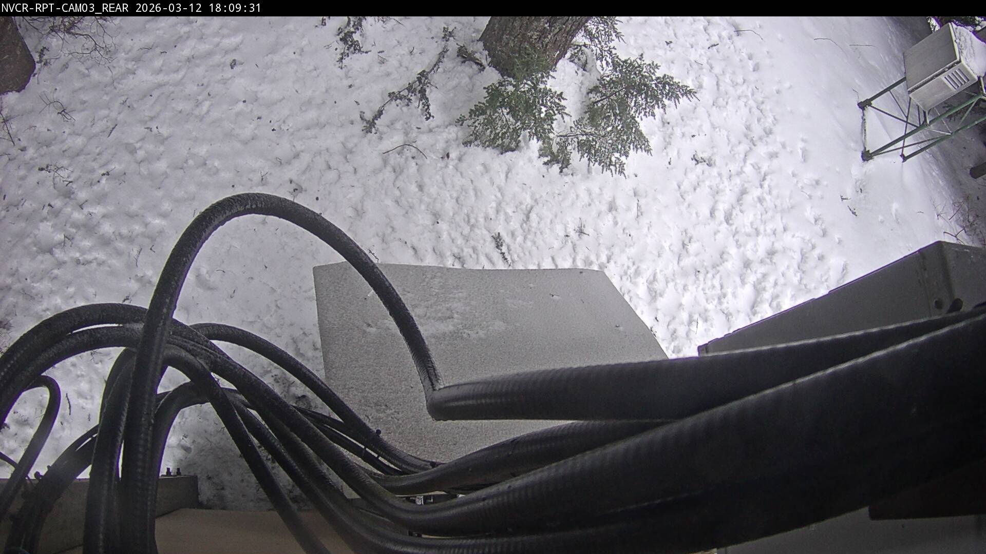 Web Cam History Image - 585