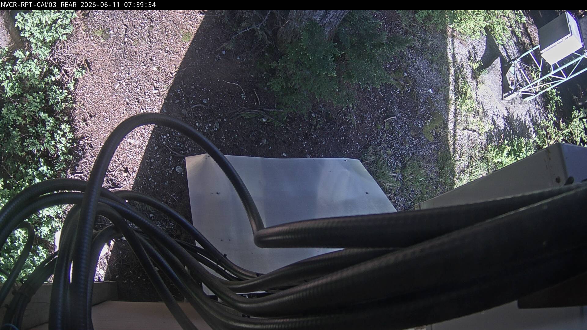 Web Cam History Image - 585