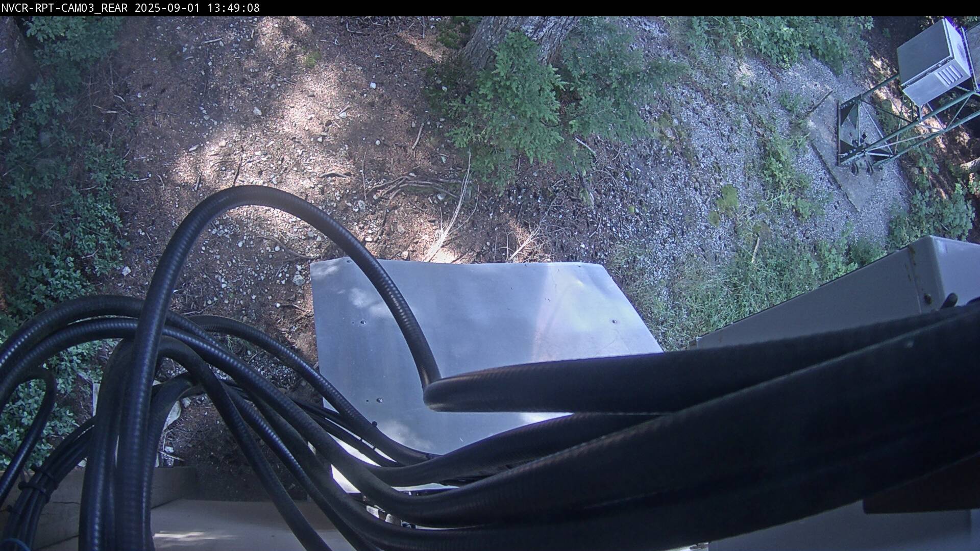 Web Cam History Image - 586