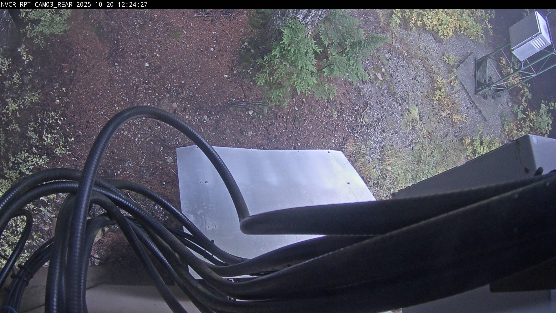 Web Cam History Image - 586