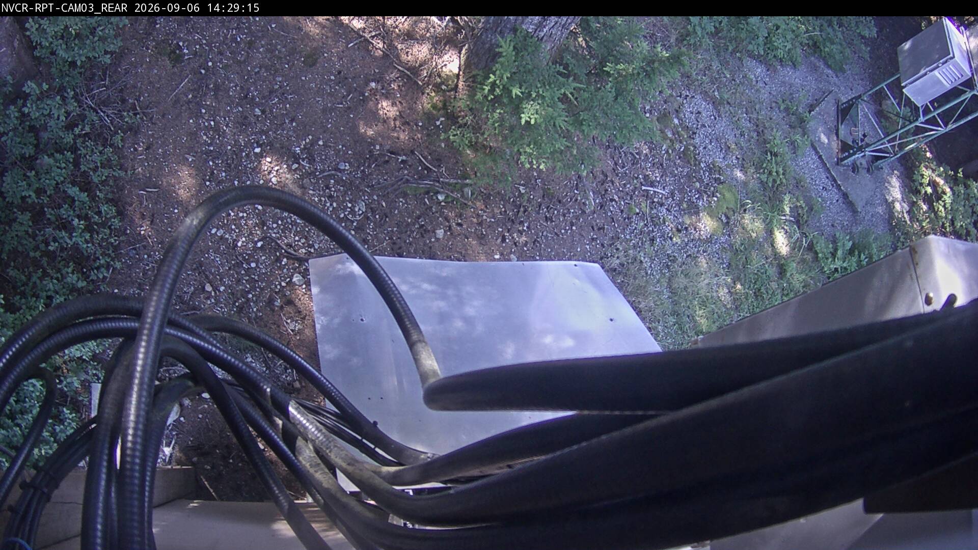 Web Cam History Image - 586