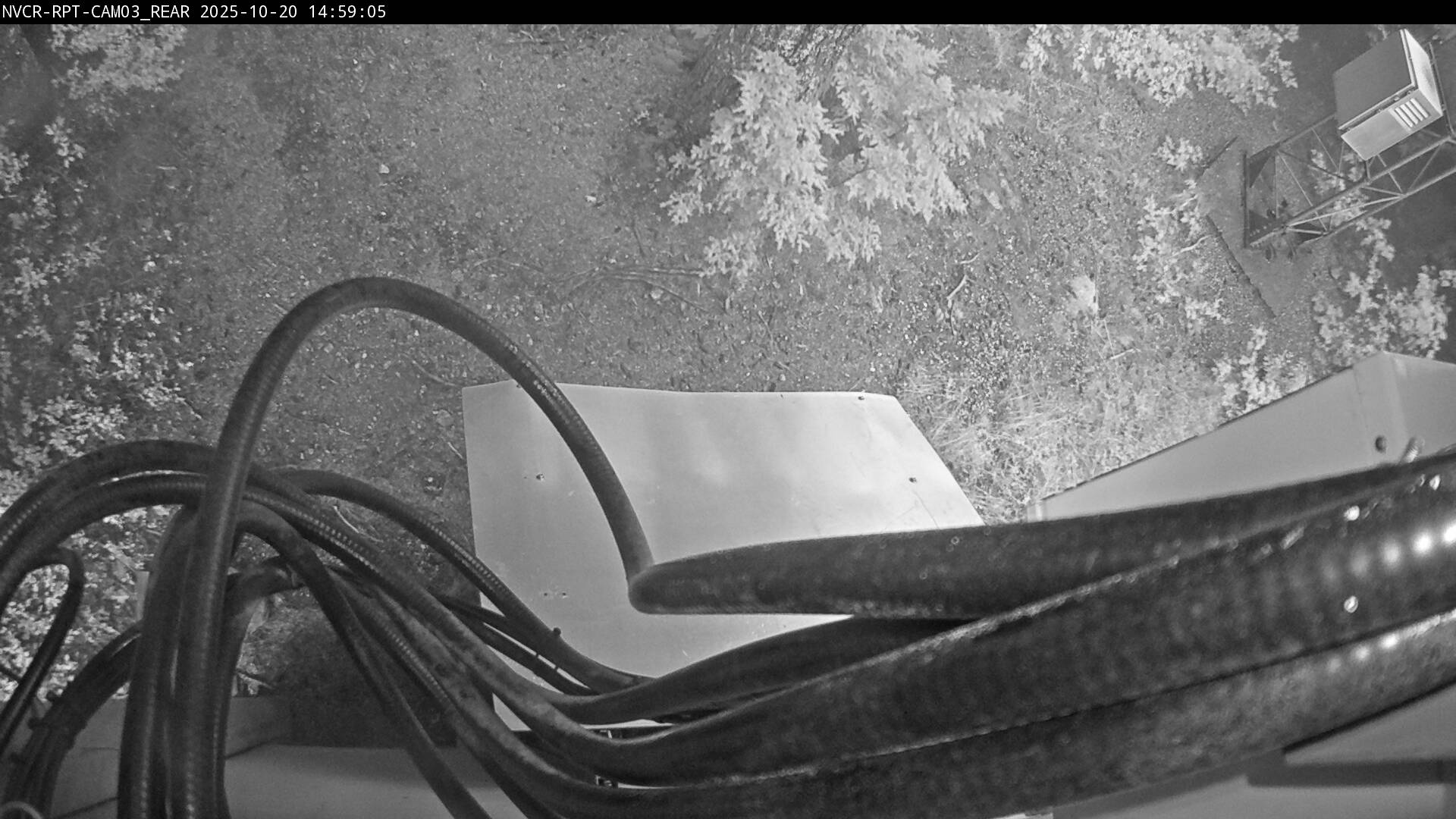 Web Cam History Image - 587