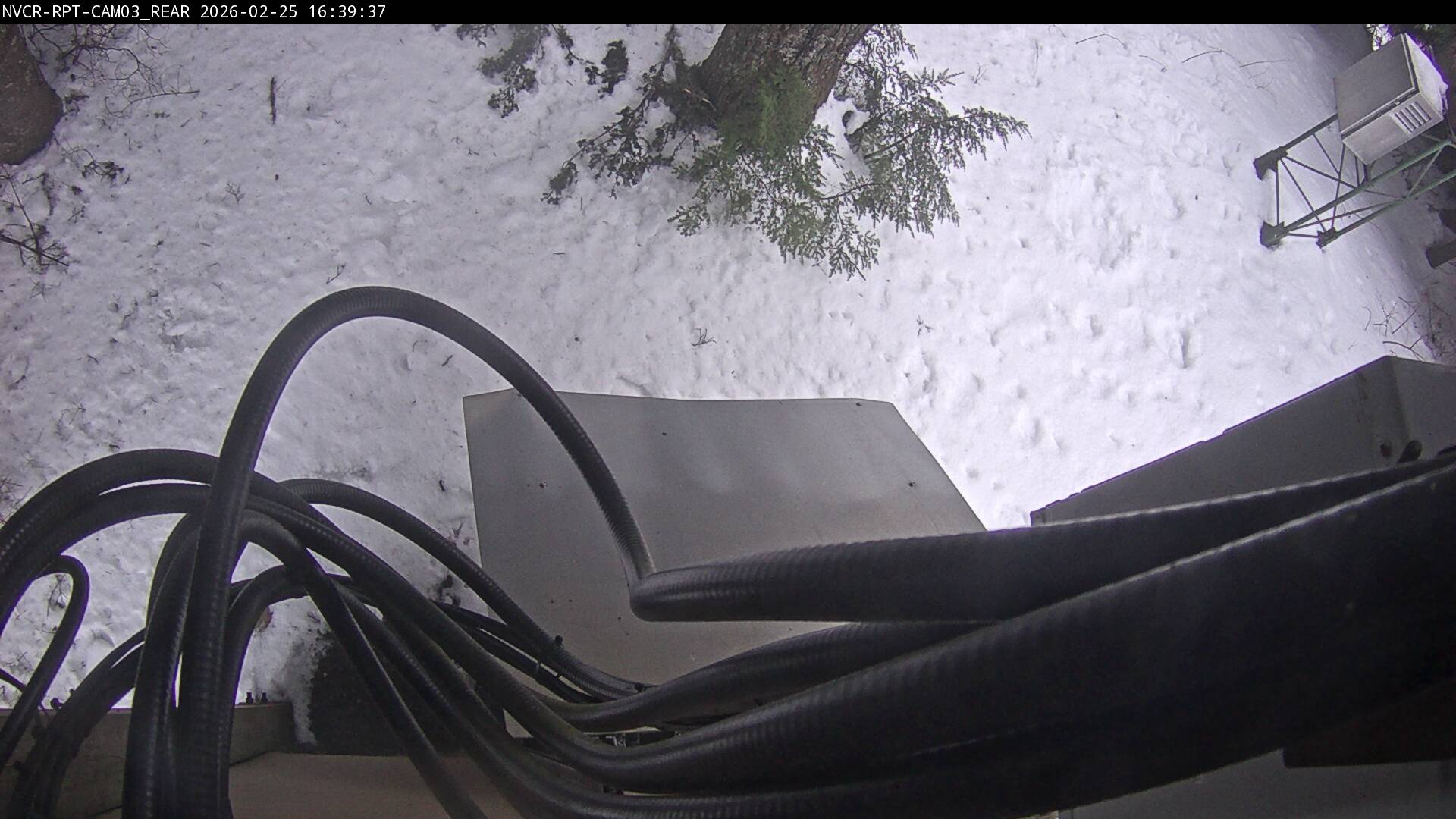 Web Cam History Image - 589