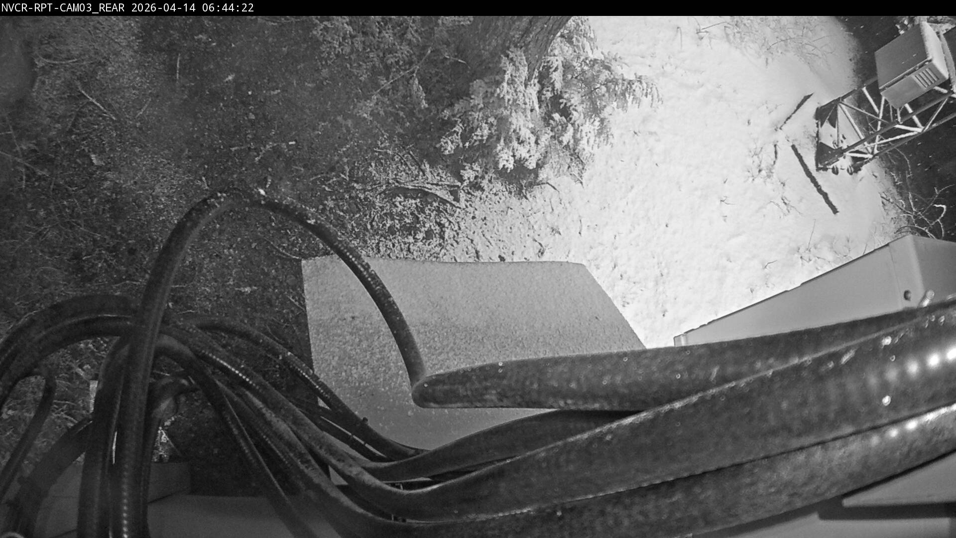 Web Cam History Image - 589