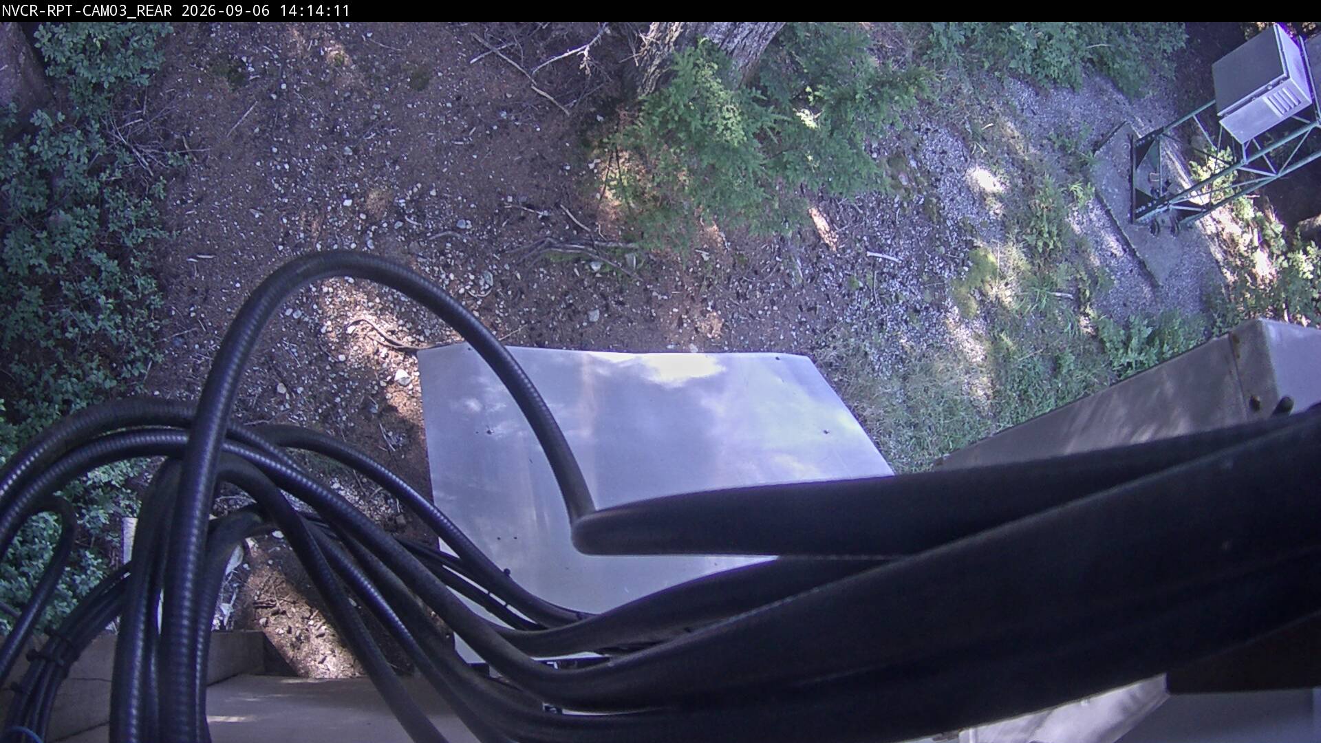Web Cam History Image - 589