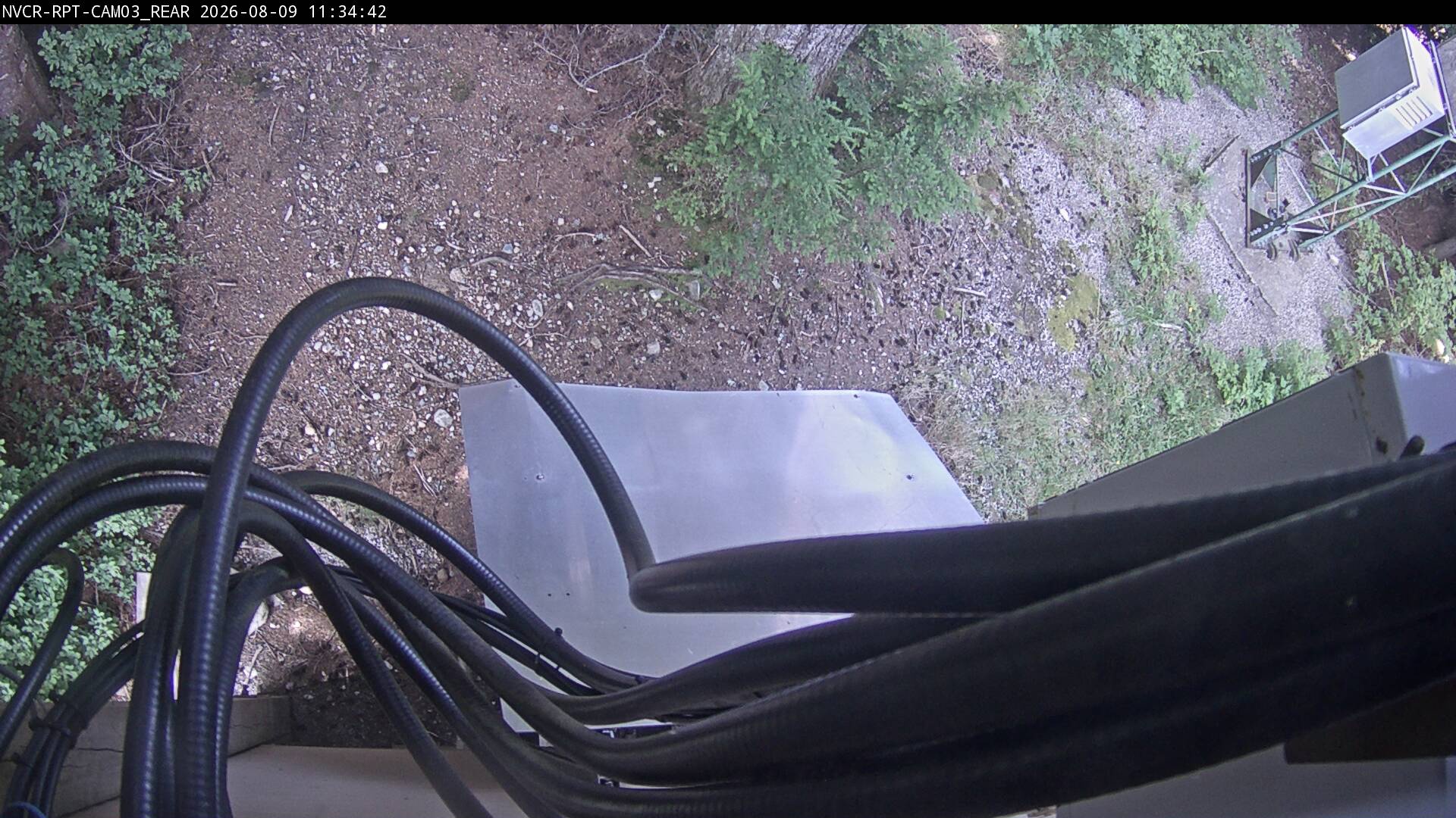 Web Cam History Image - 590