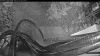 Web Cam Image - Thu, 07/16/2026 3:59am PDT