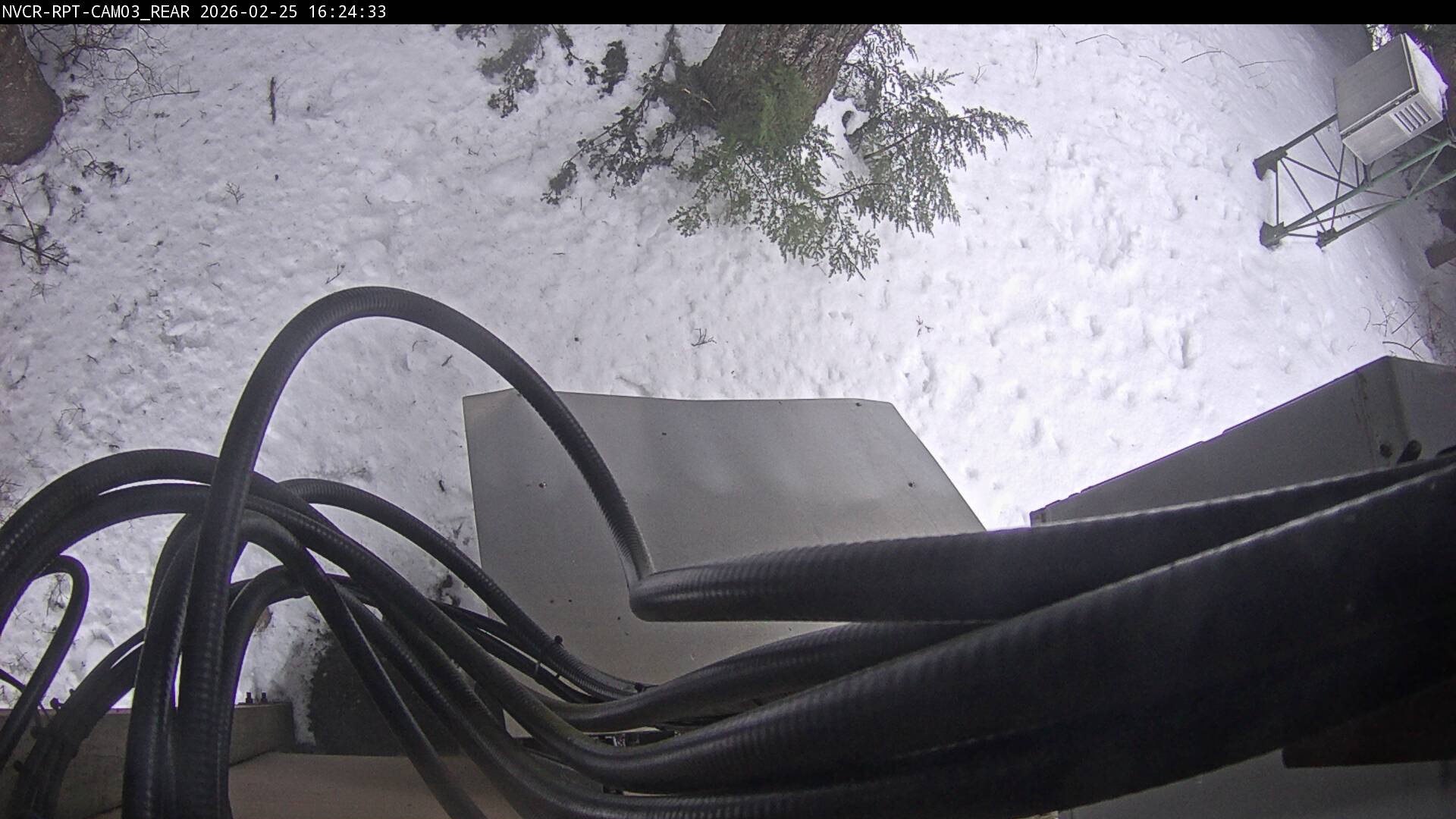 Web Cam History Image - 591