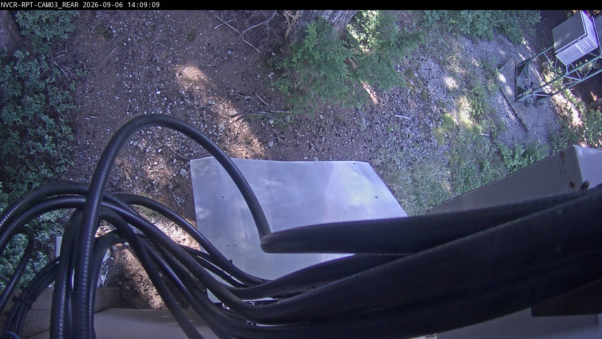 Web Cam History Image - 591