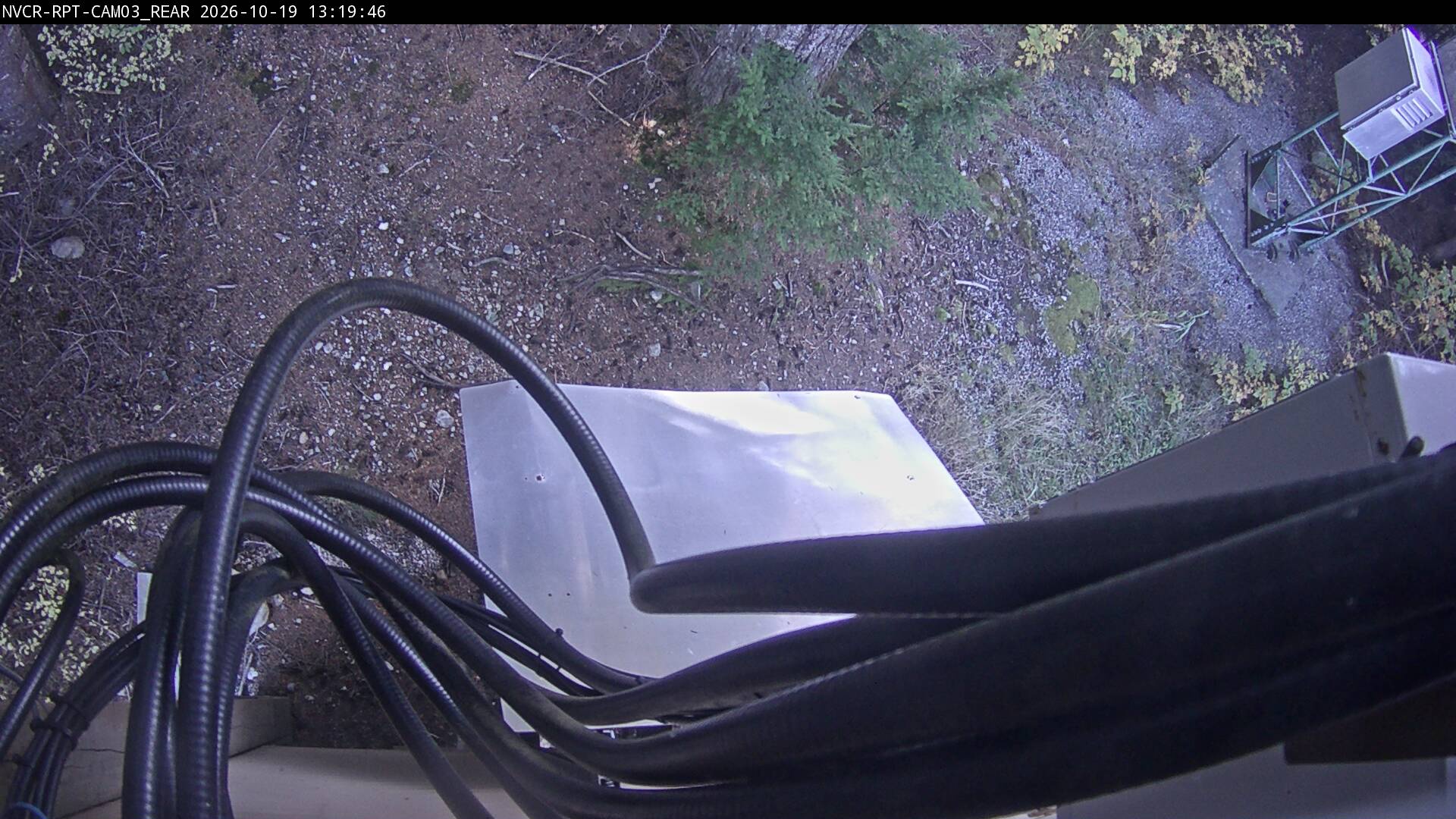Web Cam History Image - 591