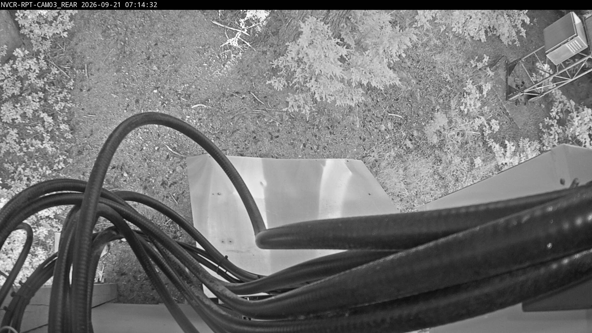 Web Cam History Image - 592