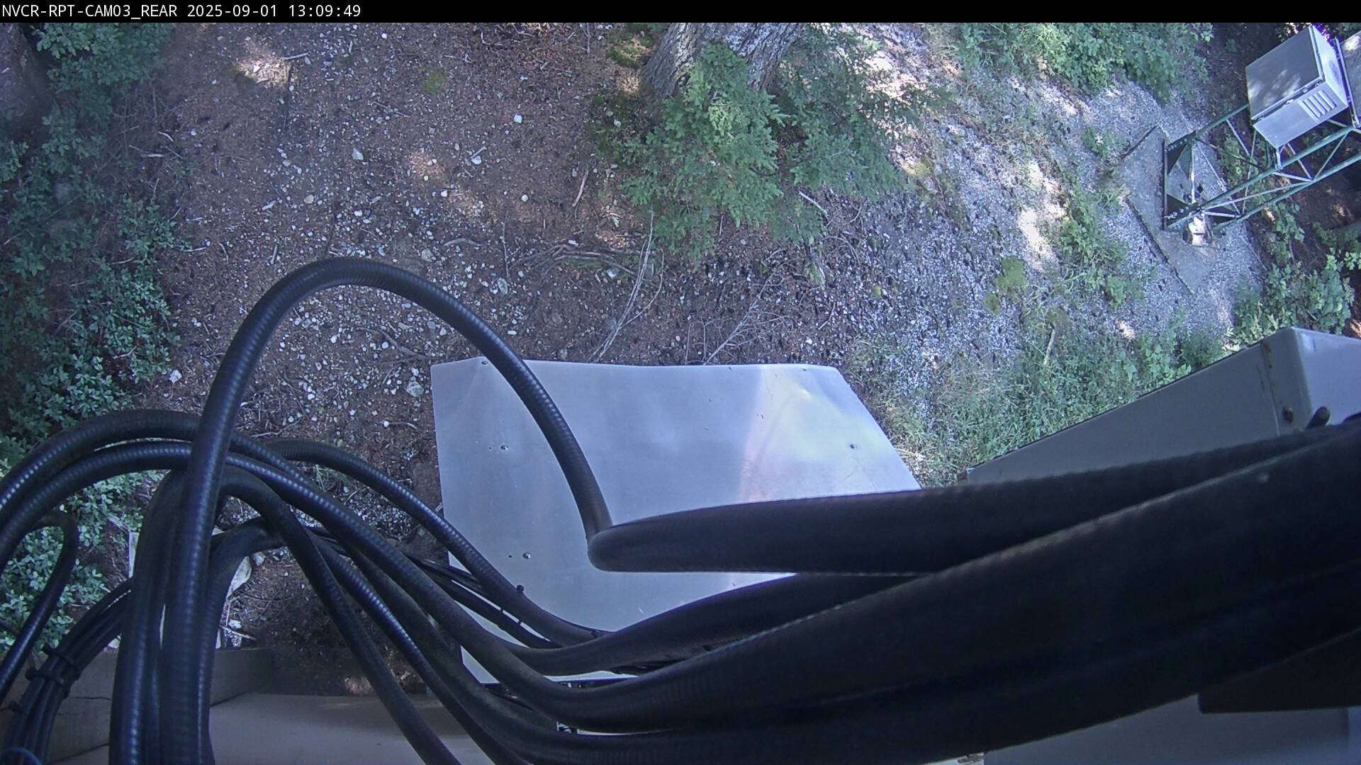 Web Cam History Image - 594