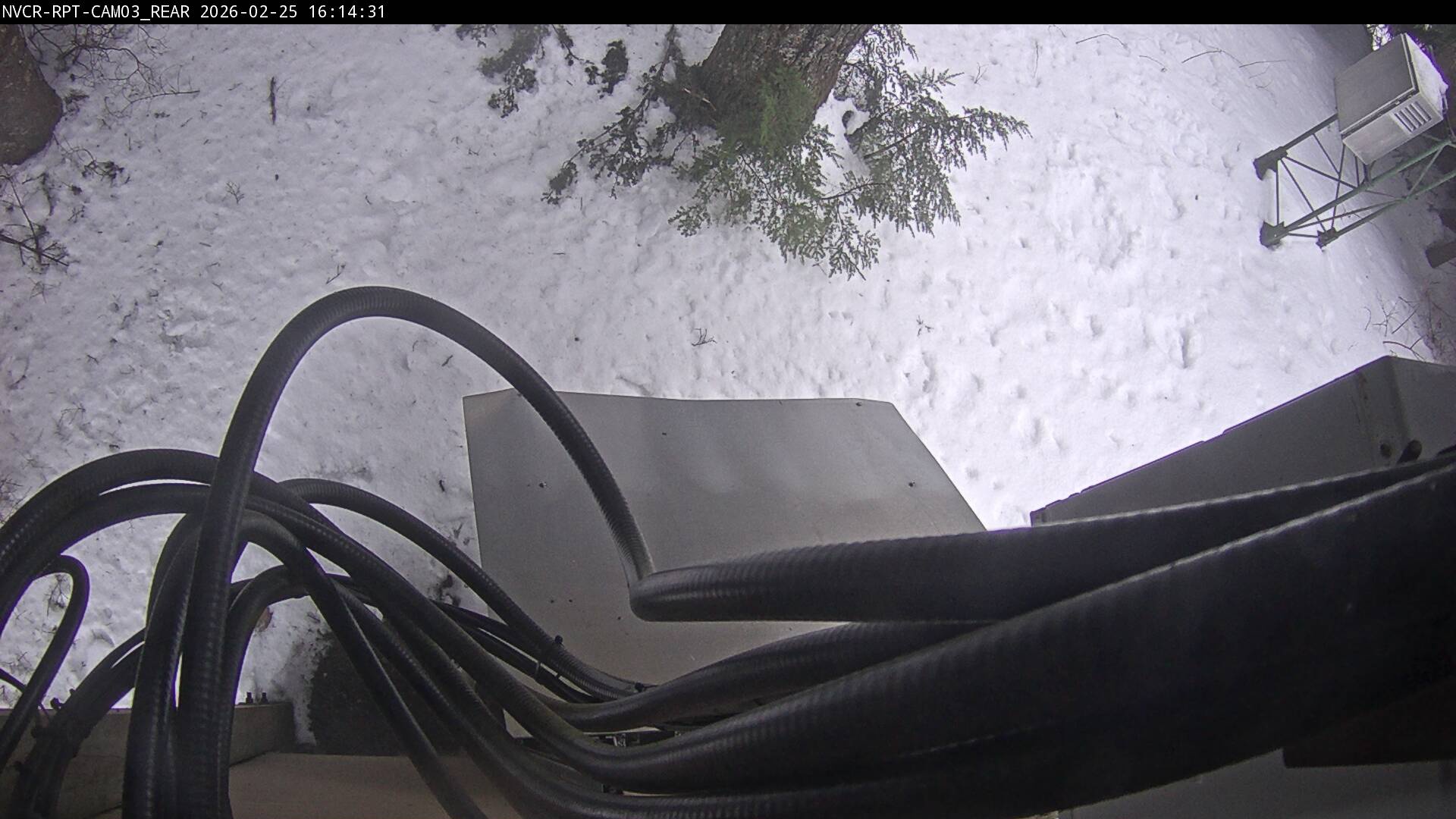 Web Cam History Image - 594