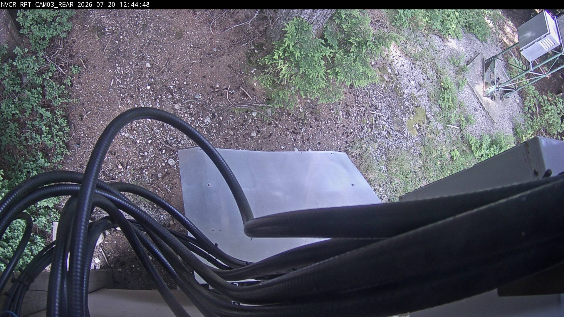 Web Cam History Image - 594