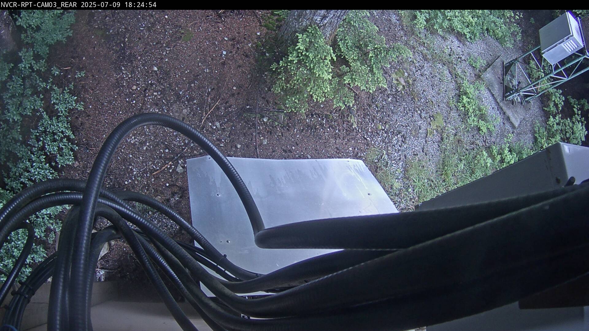 Web Cam History Image - 595