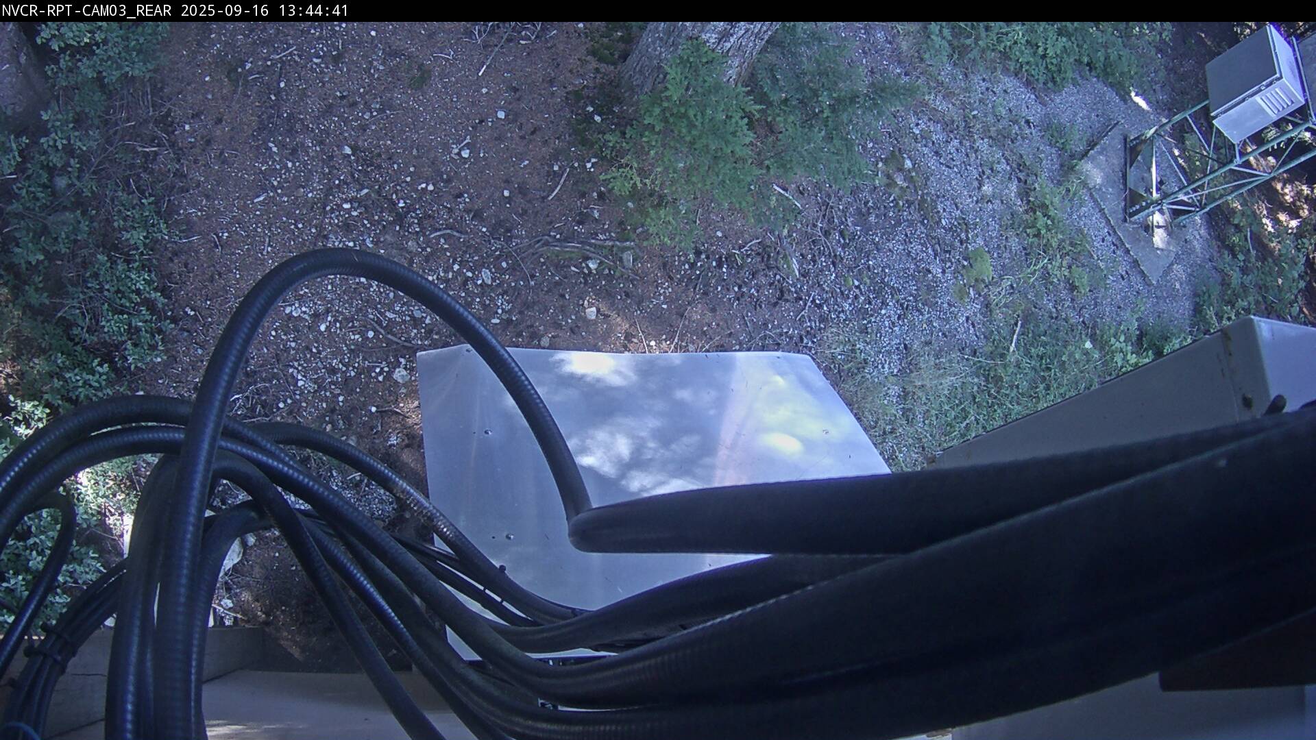 Web Cam History Image - 595