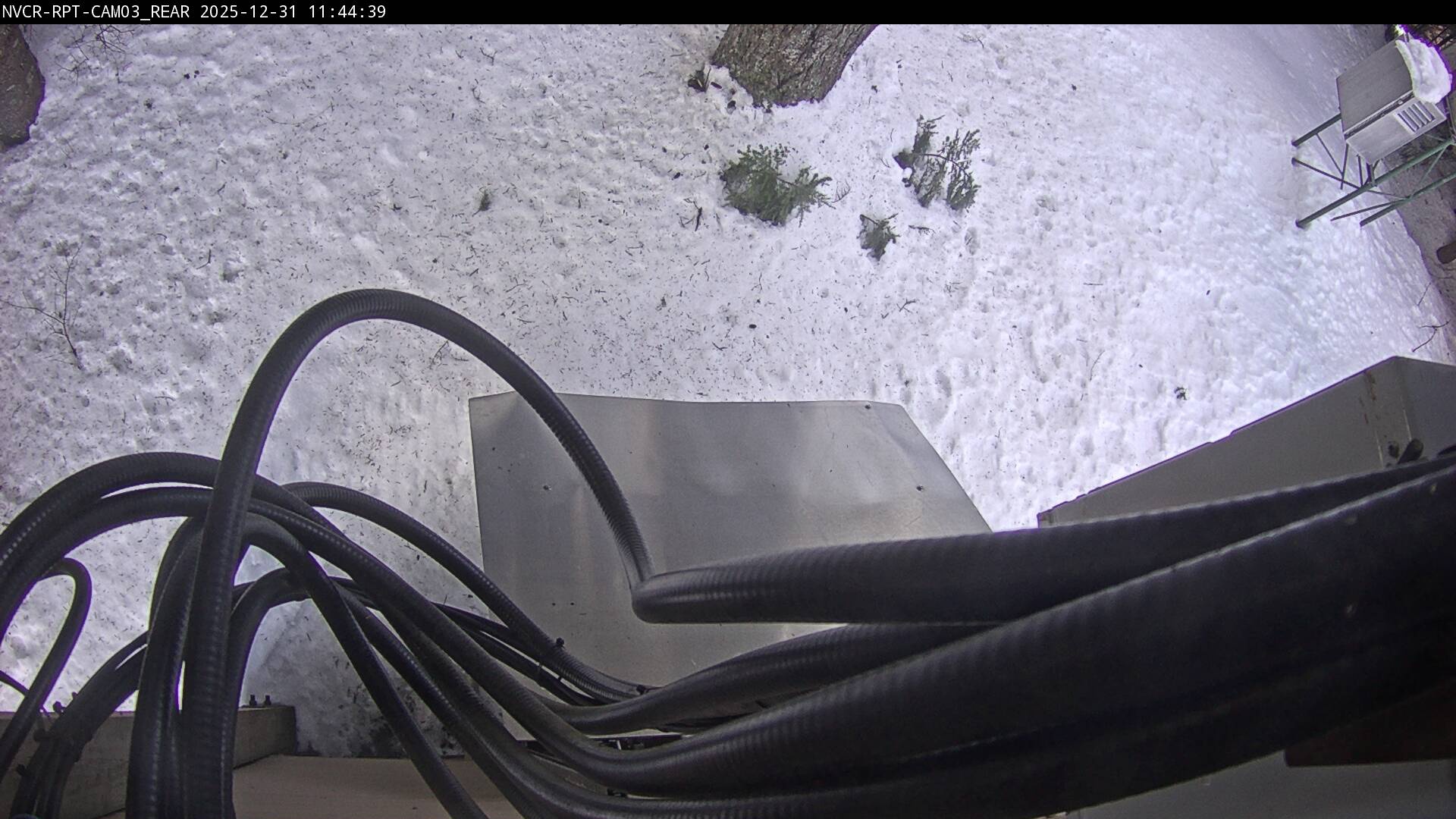 Web Cam History Image - 595