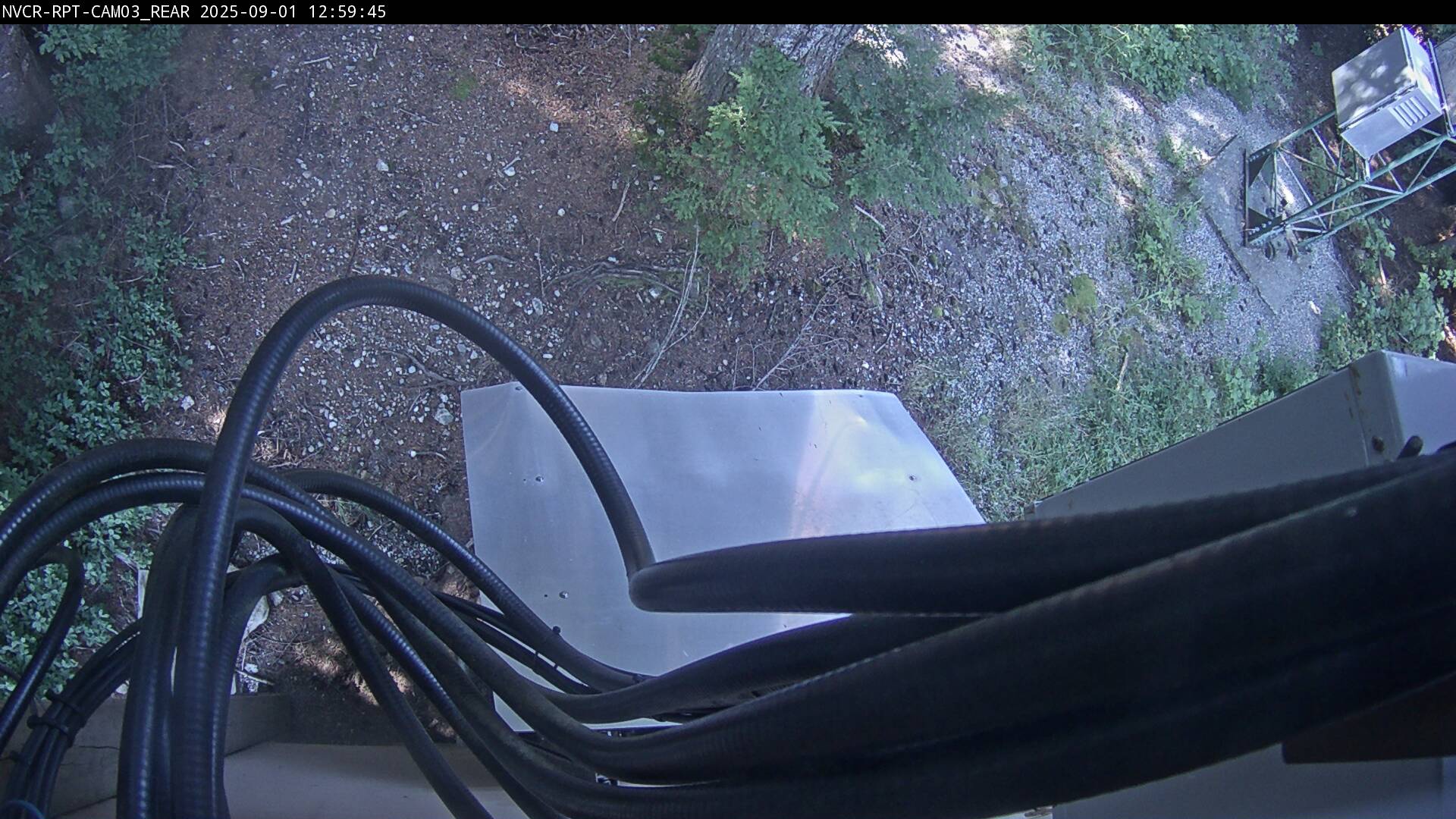 Web Cam History Image - 596
