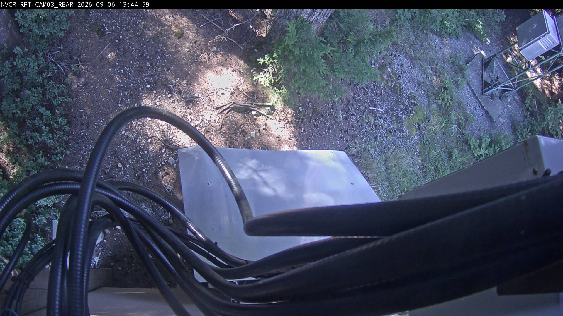 Web Cam History Image - 596