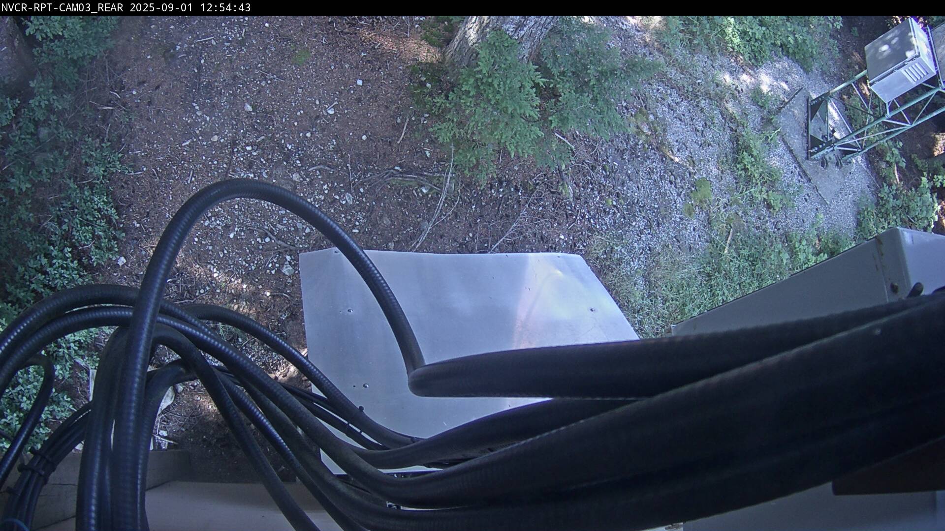 Web Cam History Image - 597