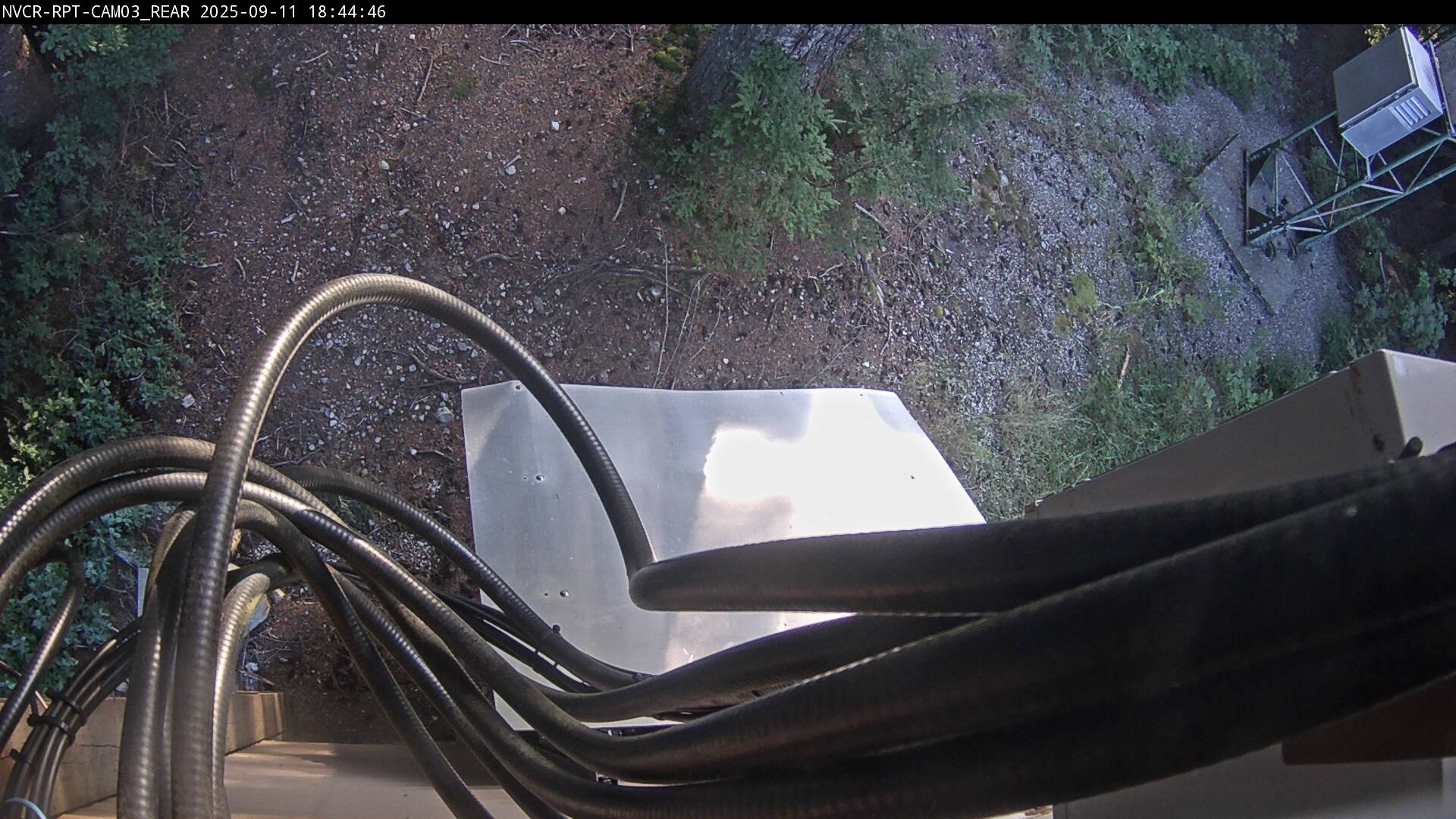 Web Cam History Image - 597