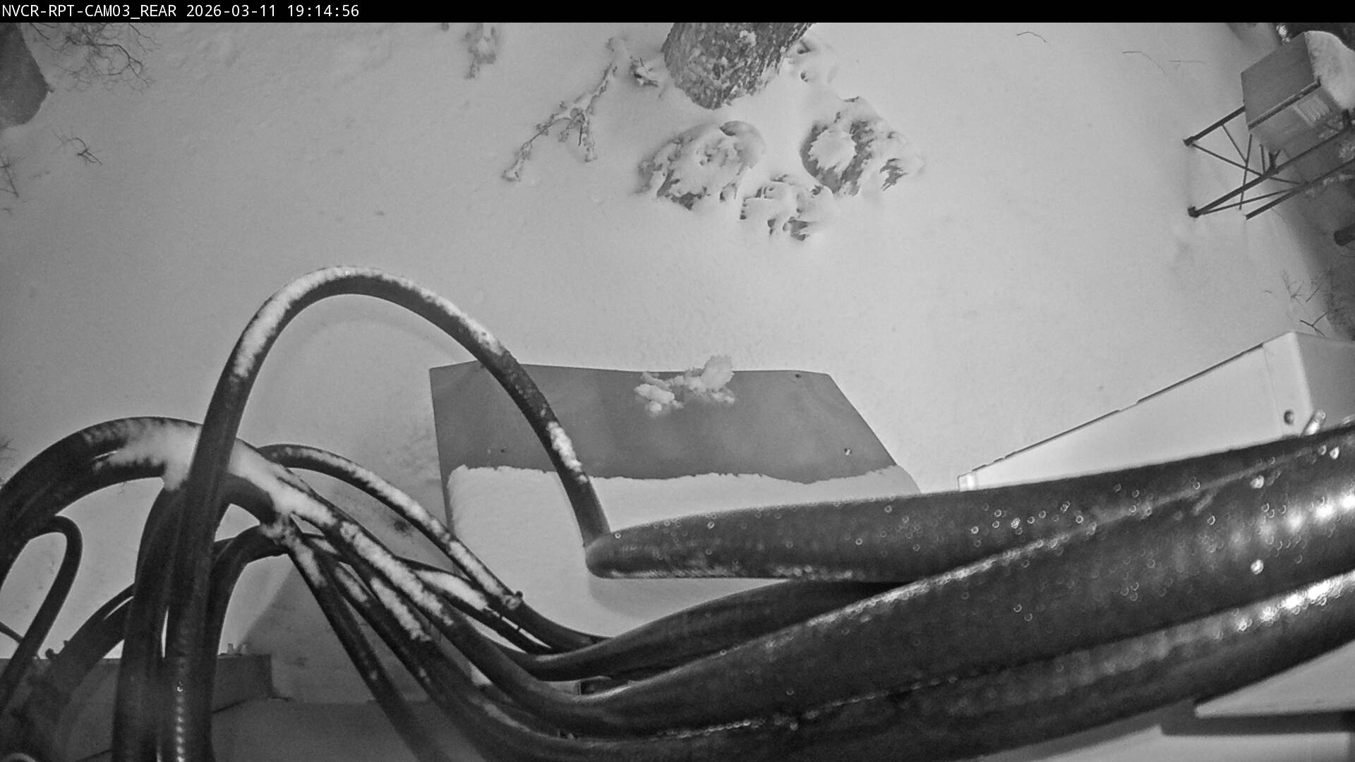 Web Cam History Image - 597