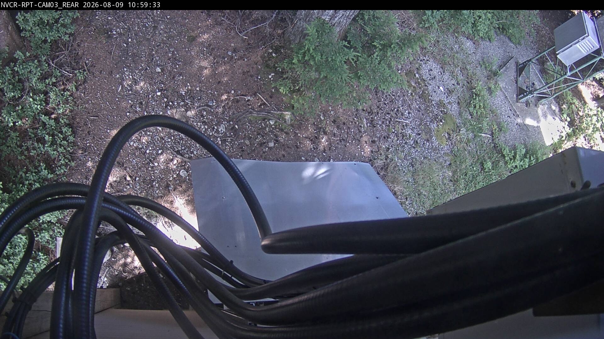 Web Cam History Image - 597
