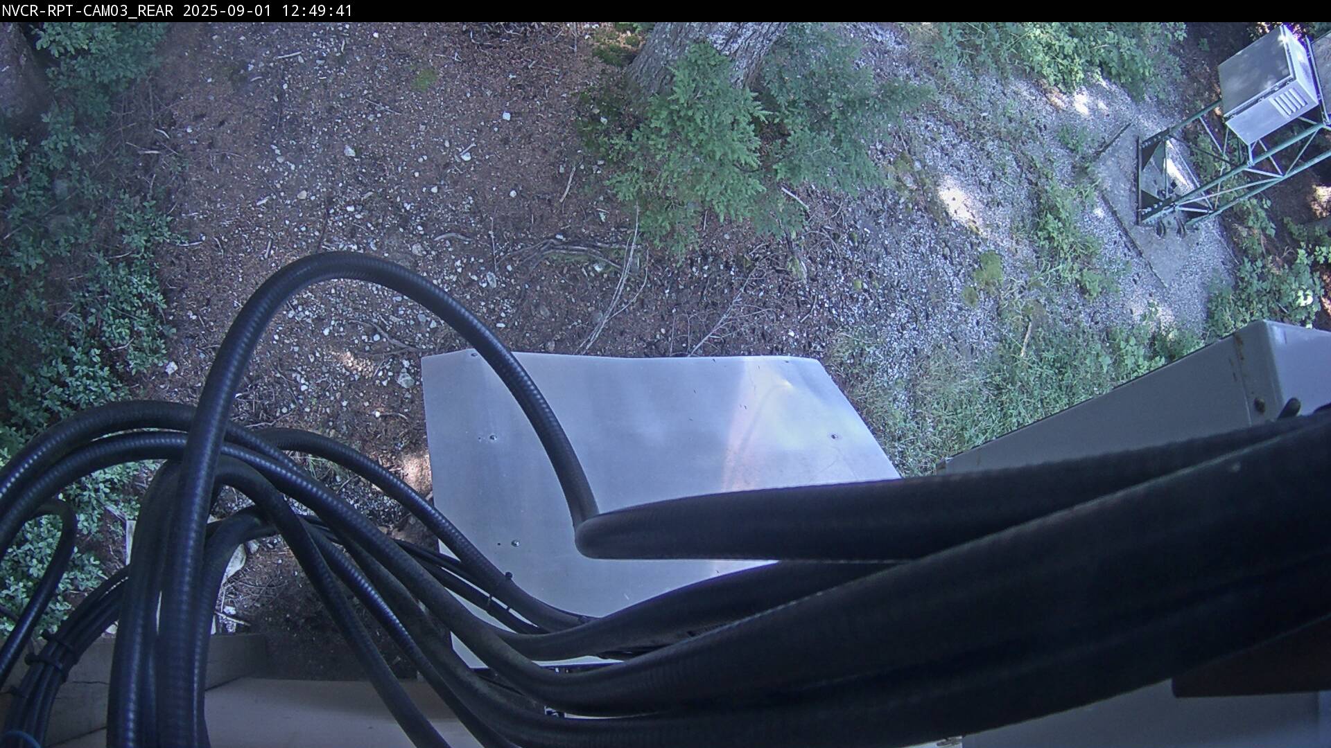 Web Cam History Image - 598