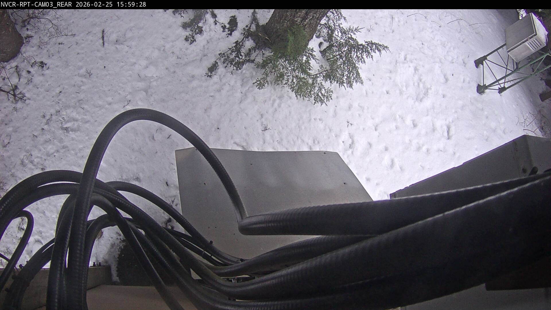 Web Cam History Image - 598