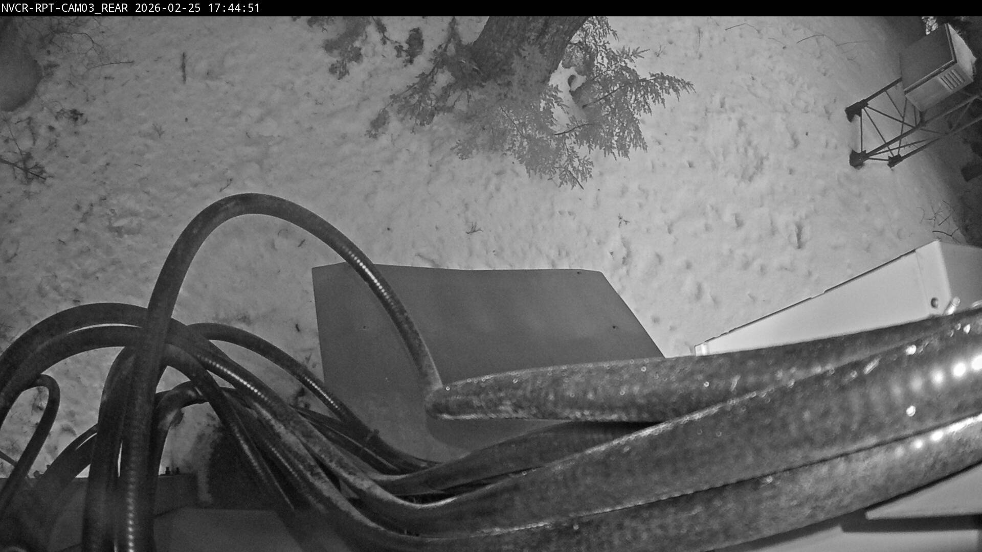 Web Cam History Image - 598