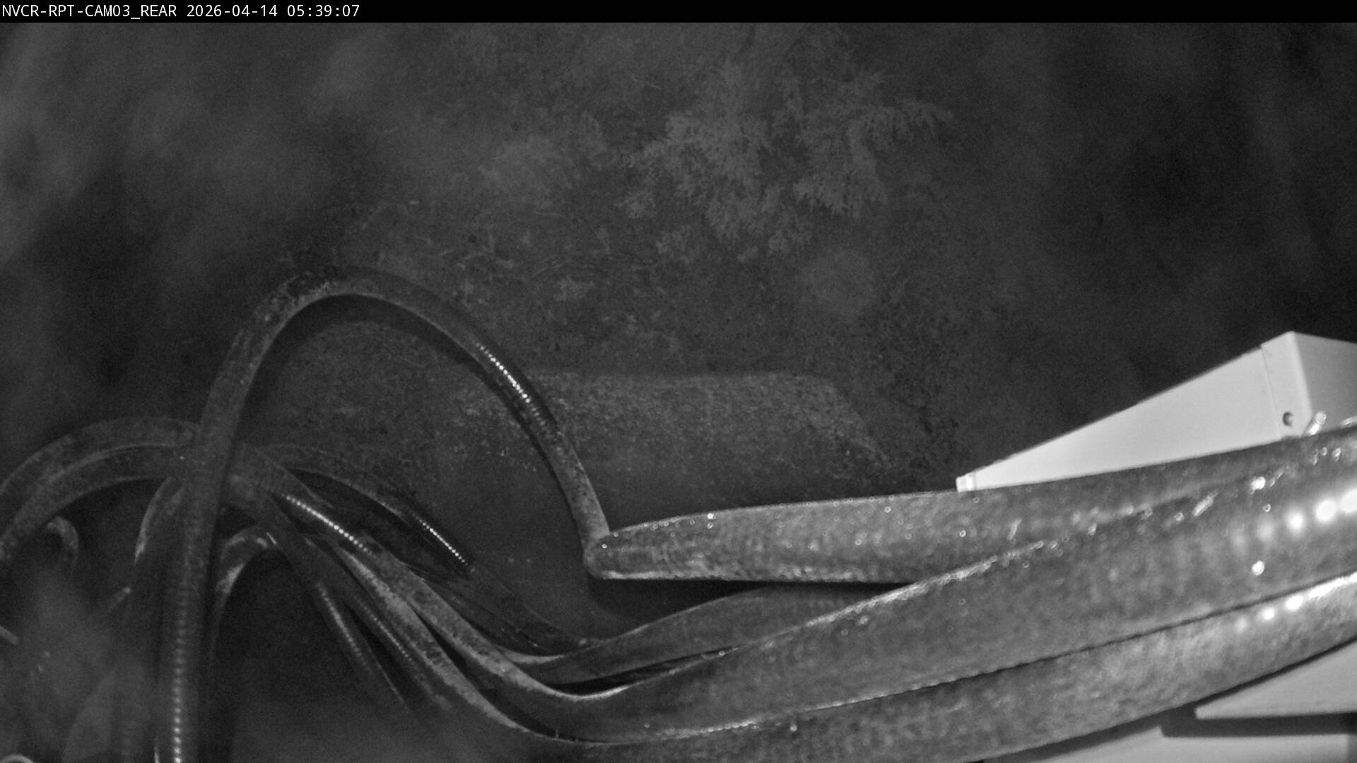 Web Cam History Image - 598