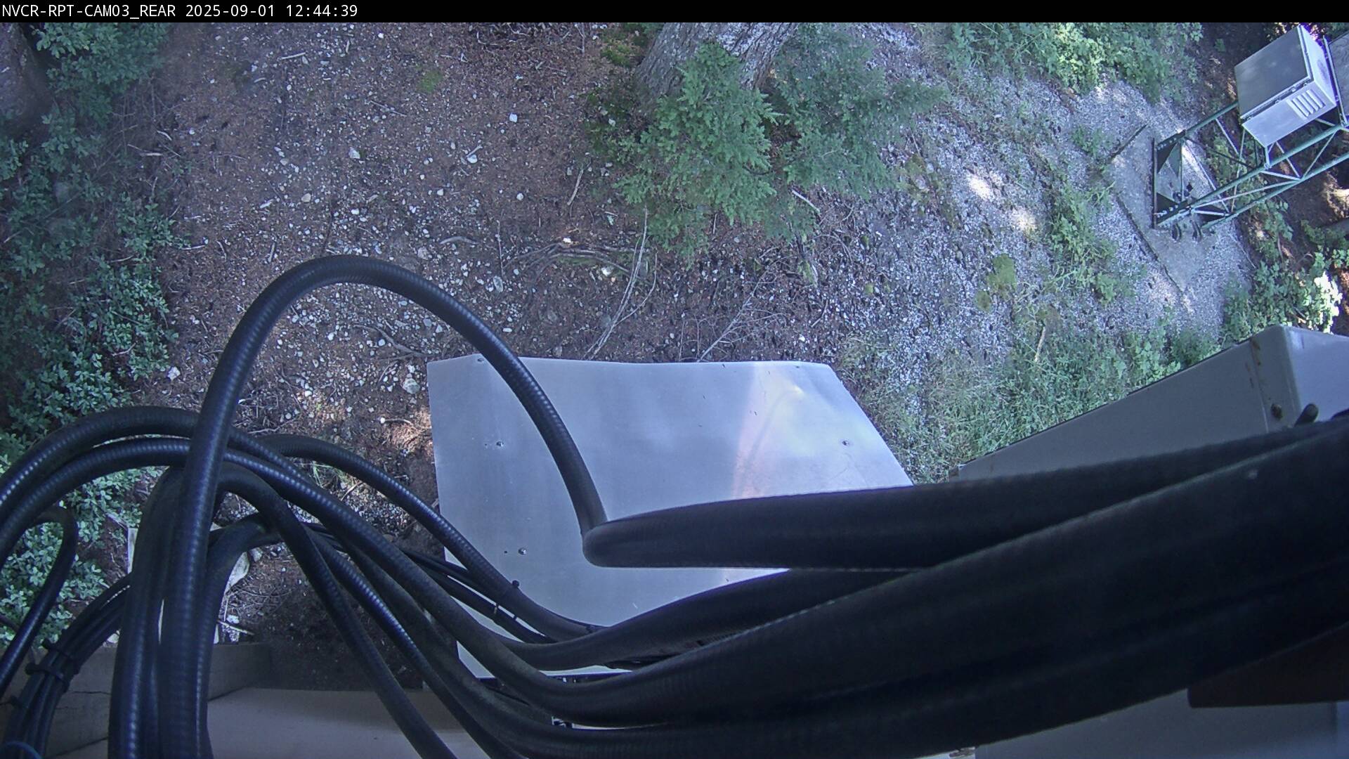 Web Cam History Image - 599