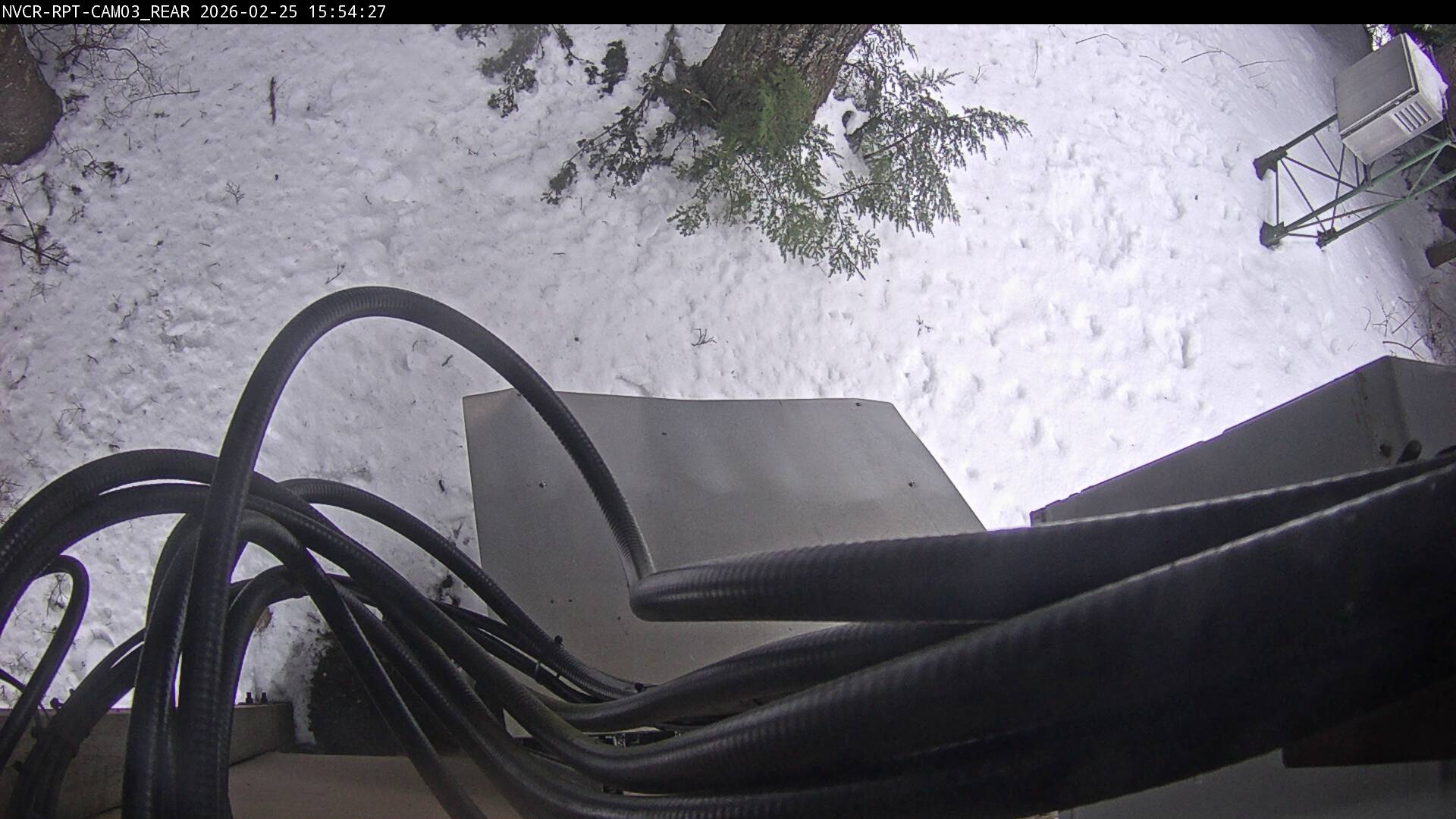 Web Cam History Image - 599