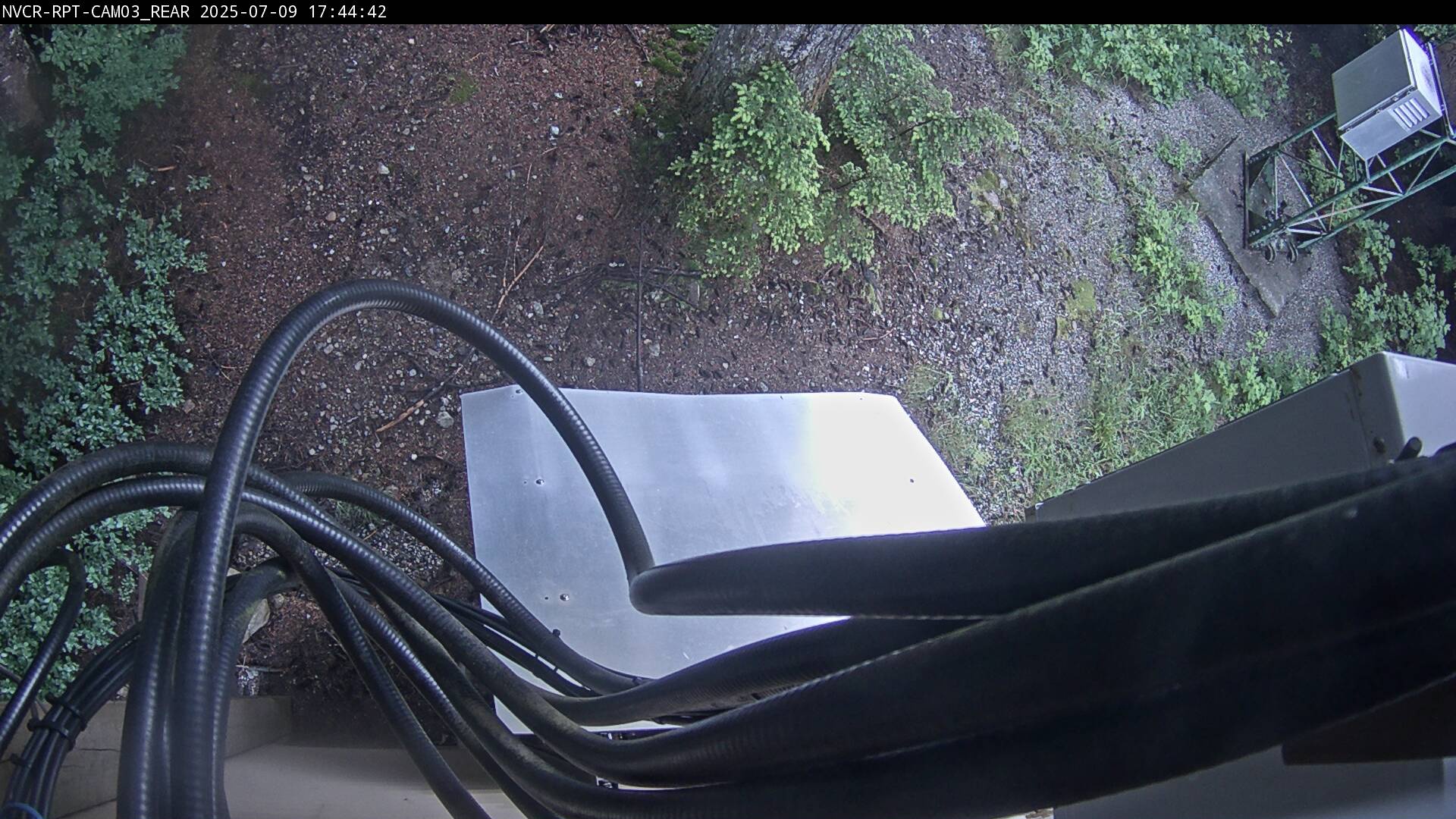 Web Cam History Image - 600