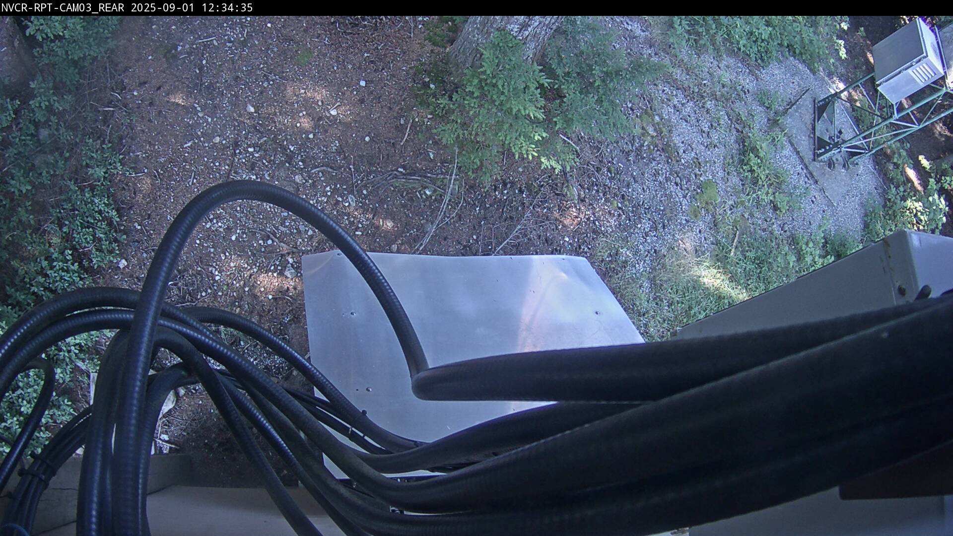 Web Cam History Image - 600