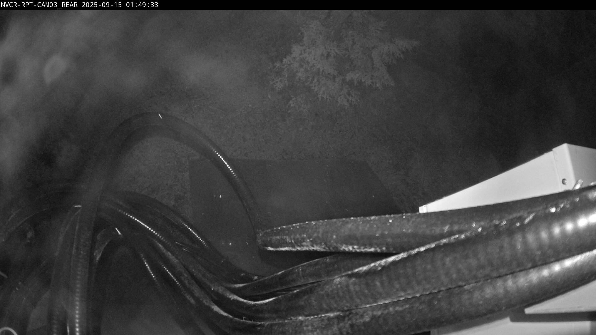 Web Cam History Image - 600