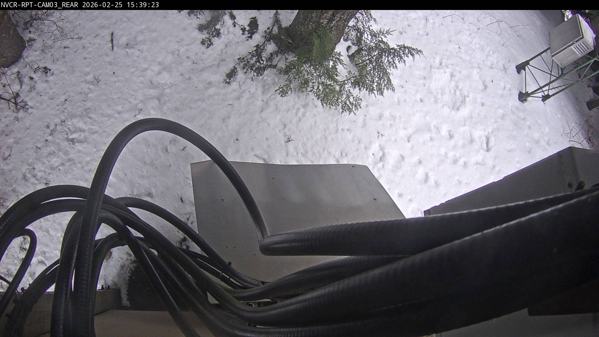 Web Cam History Image - 600