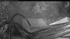 Web Cam Image - Fri, 05/15/2026 4:09am PDT