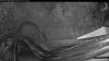 Web Cam Image - Thu, 06/04/2026 8:14pm PDT
