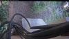 Web Cam Image - Tue, 07/07/2026 4:54am PDT